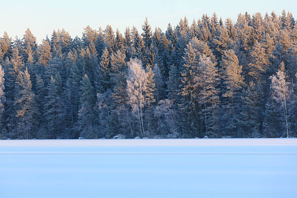 istock Winter lake scenery in finland 496388588