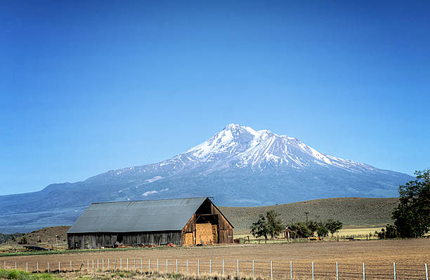 Barn and Mt Shasta An old barn in Yreka, CA with Mt. Shasta in the background. mt shasta stock pictures, royalty-free photos & images