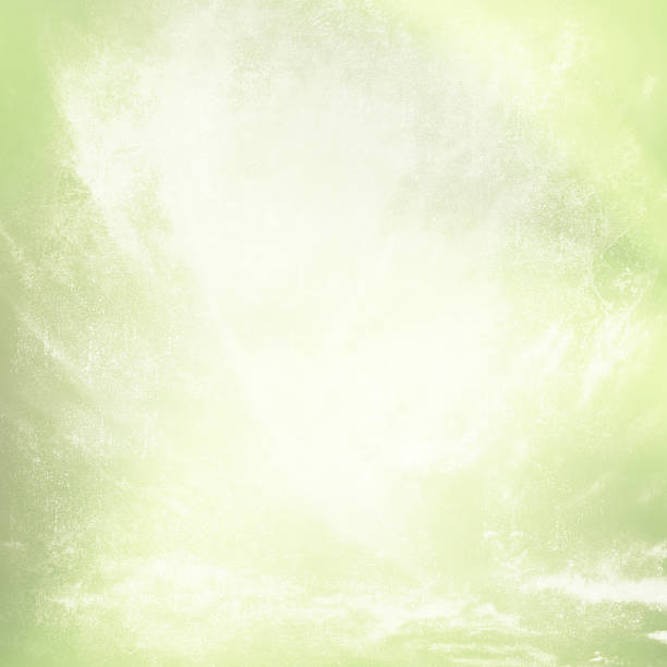 istock Grunge faded green texture background 496396009