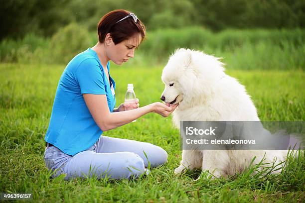 Woman With Dog In The Park Stock Photo - Download Image Now - Adult, Affectionate, Agricultural Field