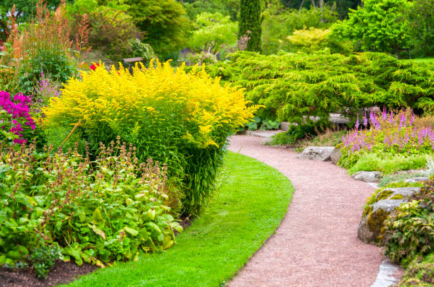 istock Lavish Summer Garden 496397087