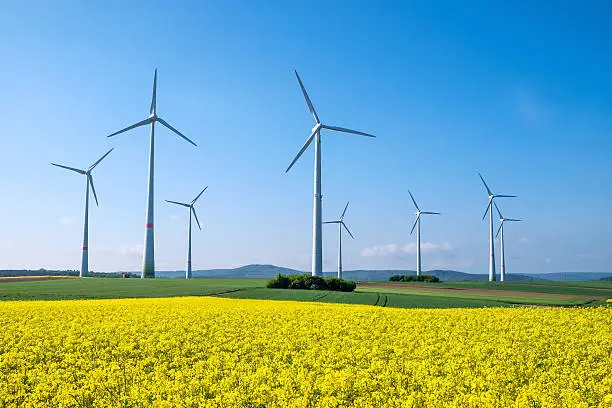 A yellow rapeseed field and many windwheels seen in rural Germany