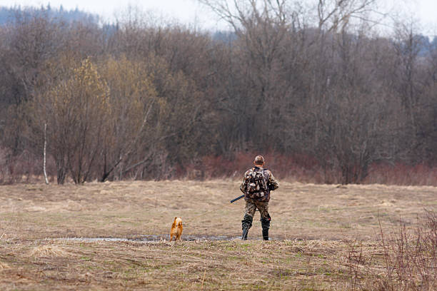 the hunter on the field with a dog a hunter with a dog is on the field finnish spitz stock pictures, royalty-free photos & images