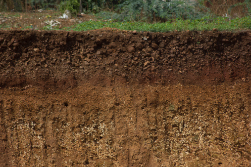 A cut of soil with different layers visible