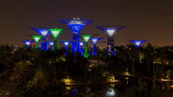 Singapore City, Singapore - March 22, 2014: Gardens by the Bay in Singapore at night. Supertree Grove