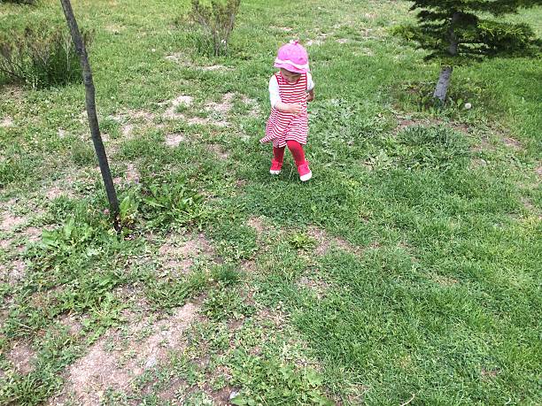 istock Child in Garden Meadow 496400533