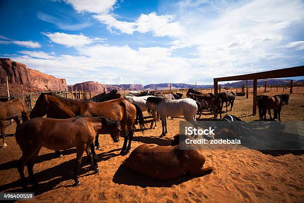 Photo libre de droit de Troupeau De Chevaux De Monument Valley Arizona Étatsunis banque d'images et plus d'images libres de droit de Agriculture