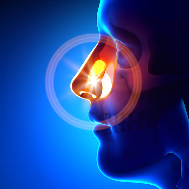 Stuck object in nose Stuck object in nose sinusitis photos stock pictures, royalty-free photos & images