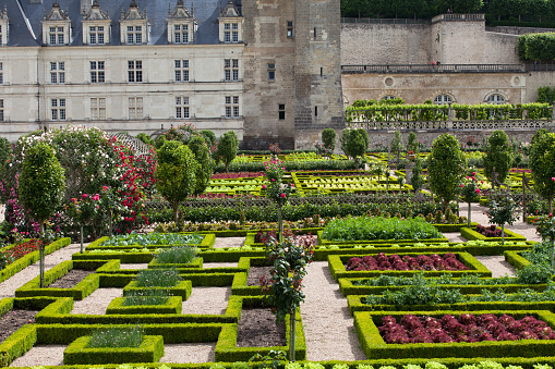 Villandry, France - June 24, 2014: Gardens and Chateau de Villandry  in  Loire Valley in France 