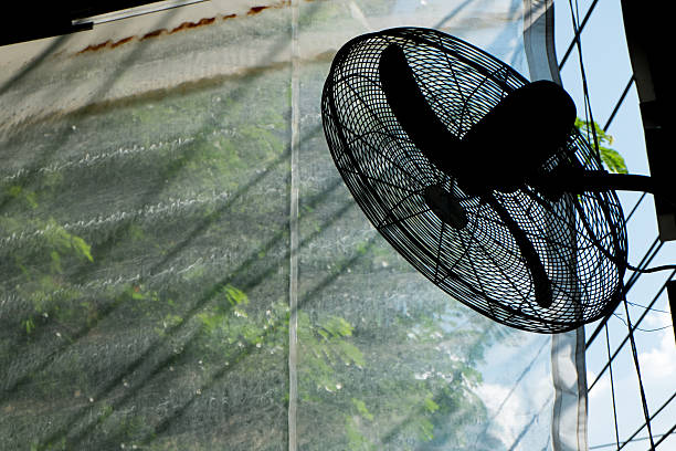 istock fan silhouette with nature background 496408560