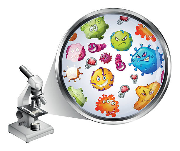 stockillustraties, clipart, cartoons en iconen met microscope and zoom picture of bacteria - inzoomen