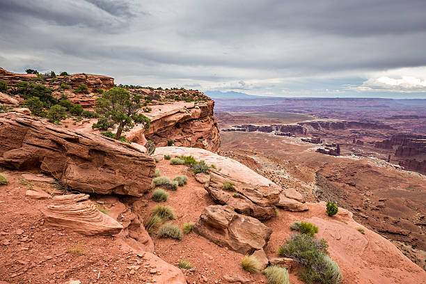 istock Canyonlands National Park, Utah, USA 496414790