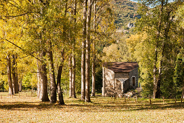 animazione'automne paysage - house wood dirt road footpath foto e immagini stock