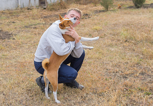 istock Boy and Basenji dog playing in the garden 496434464