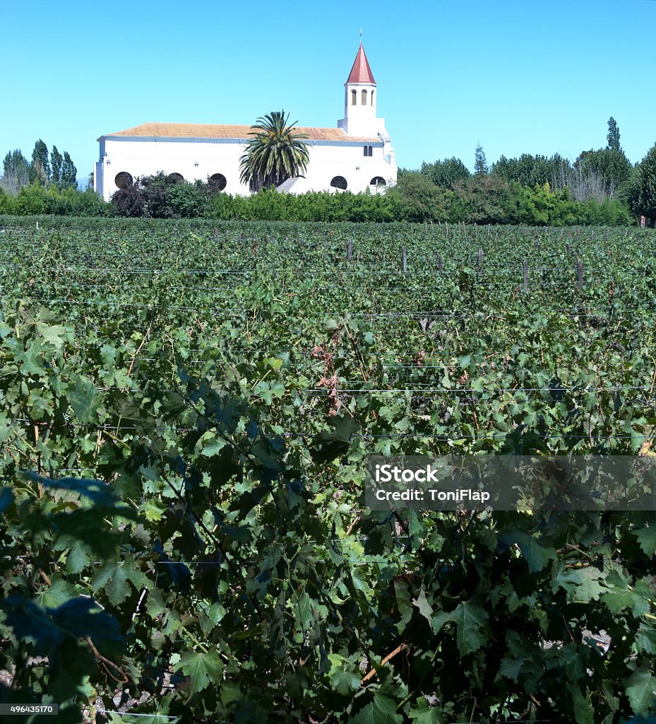 Indústria do vinho no Chile - Foto de stock de Chile royalty-free