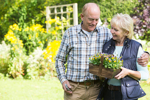 istock Senior Couple Working In Garden Together 496438244