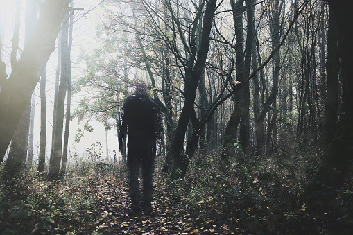 ghostly figure walking through woodland