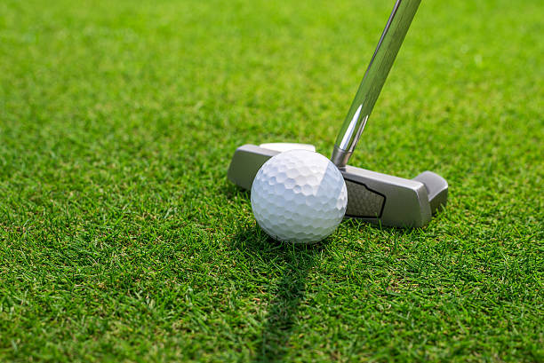 istock Putting a golf ball on the green 496438534
