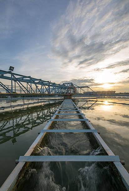 Water Purification Plant A water treatment facility in Florida. aquatic plant stock pictures, royalty-free photos & images