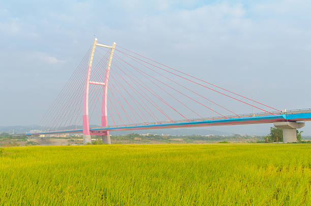 istock Beautiful bridge in Chubei 496441258