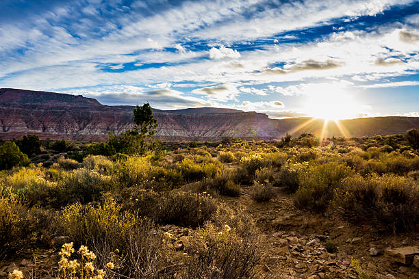 istock Winter Sunrise over Desert Plateau 496441914