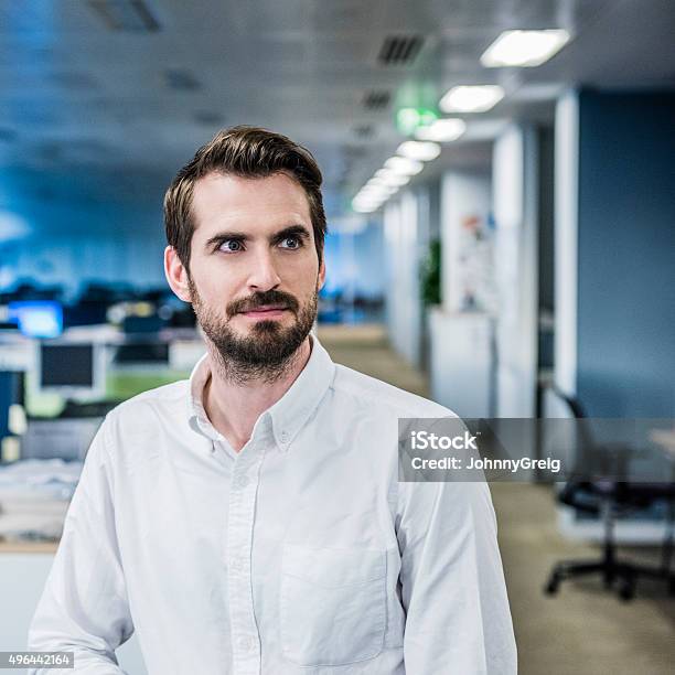 Mid Adult Businessman With Beard In Office Portrait Stock Photo - Download Image Now