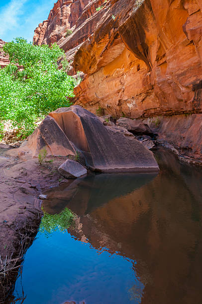 istock Pool of water - Hunter Canyon Hiking Trail Moab Utah 496443571