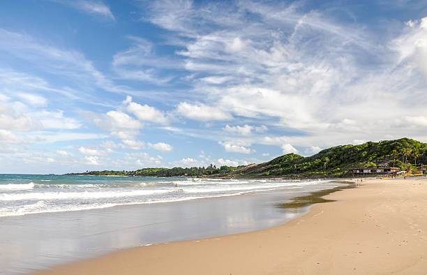 istock Beach of Baia Formosa (Brazil) 496444259