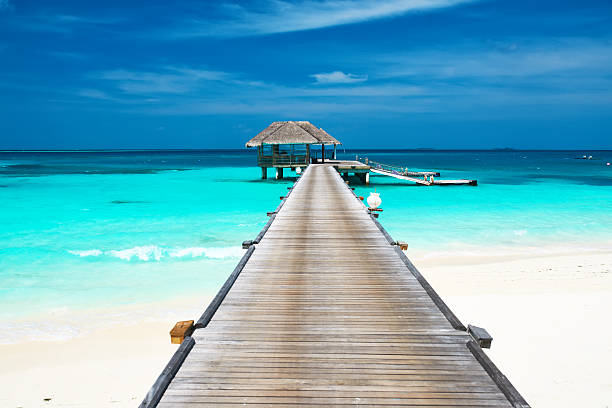 istock Beautiful beach with water bungalows 496444315