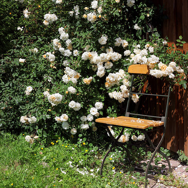 Vintage white chair with a straw hat and a chamomile wreath in a chamomile field in the sun.