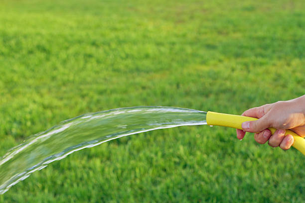 hand water garden seal hose care green.Copy space