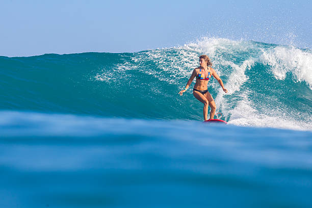 istock Surfing a Wave. Bali Island. Indonesia. 496448015
