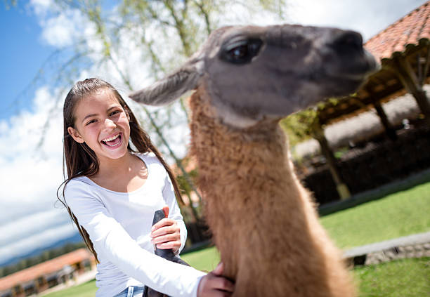 istock Happy girl on a llama 496448409