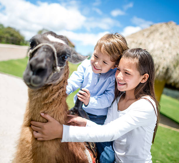 istock Kids in an animal park 496448415