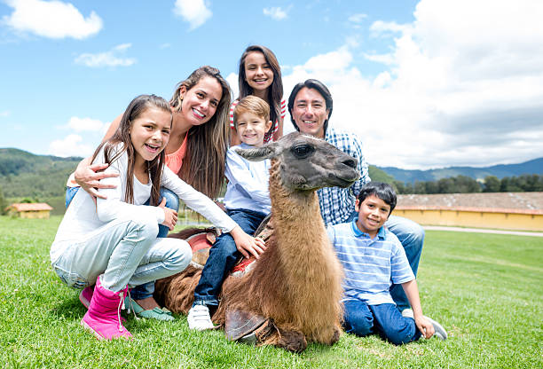 istock Group of kids with a llama 496448419