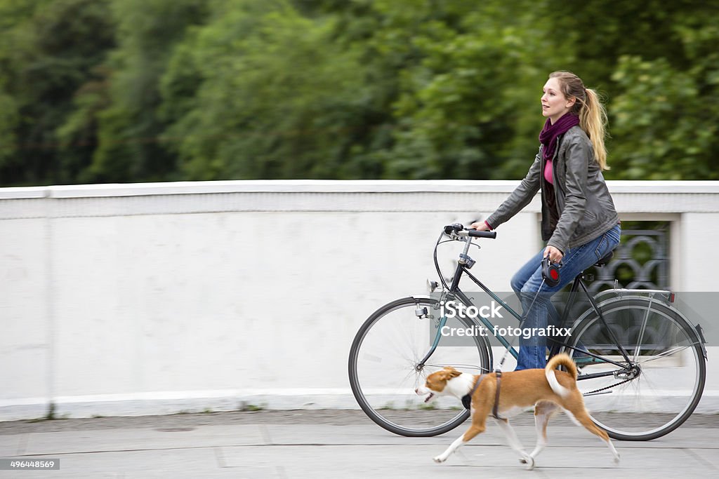 Jeune femme son vélo avec son chien dans Dépêchez-vous - Photo de Chien libre de droits