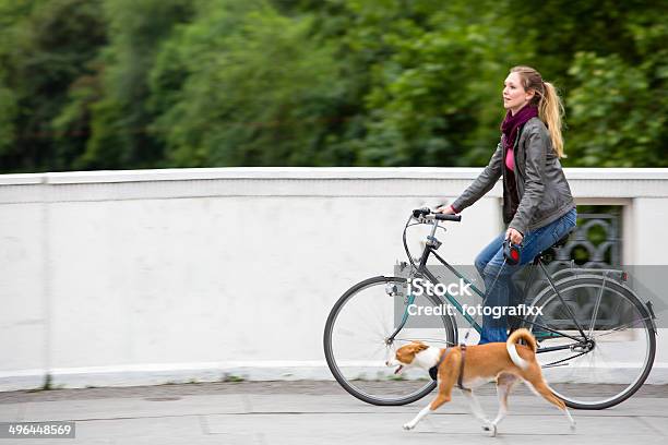 Mulher Jovem Em Sua Bicicleta Com O Seu Cão Na Montagem - Fotografias de stock e mais imagens de Cão
