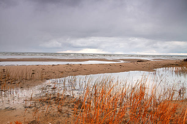 istock autumn beach of the Baltic Sea 496448657