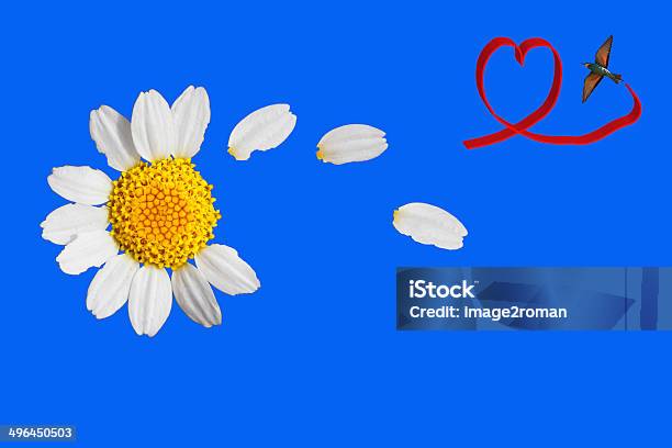 Margueritte Stock Photo - Download Image Now - Adhesive Note, Anniversary, Anniversary Card