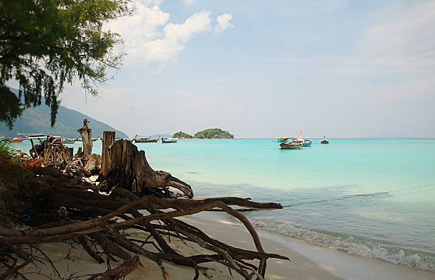 istock Beautiful beach in Thailand,Lipeh island 496471953