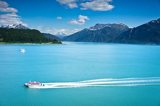 bela vista de haines cidade perto da baía glacier, alasca, eua - haines imagens e fotografias de stock