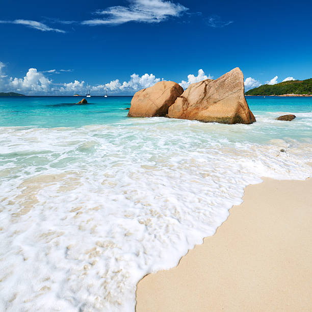 istock Beautiful beach at Seychelles 496472273