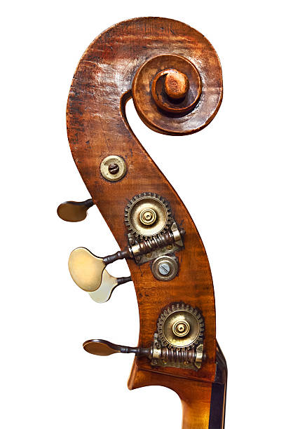 istock Double Bass detail 496473297