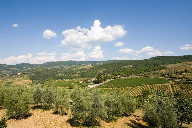 tuscan Paisagem - fotografia de stock