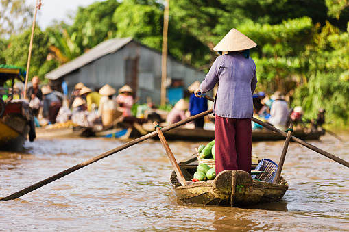 Vietnamese fruits seller - woman rowing boat in the Mekong river delta & selling fruits, Vietnam.