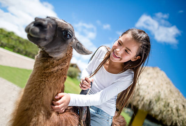 istock Girl riding a llama 496474581