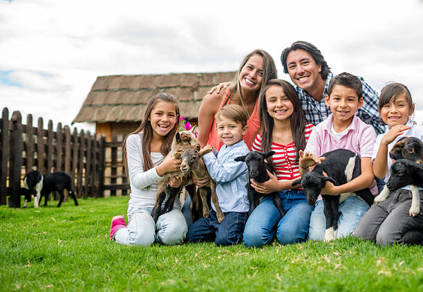 istock Family at an animal farm 496474601