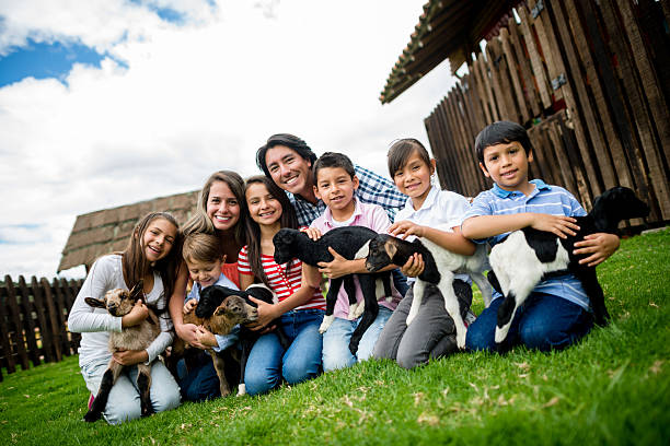istock Family at an animal park 496474603