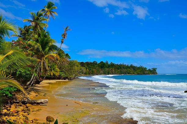 istock Wild beach Bocas del Toro in Panama 496476363