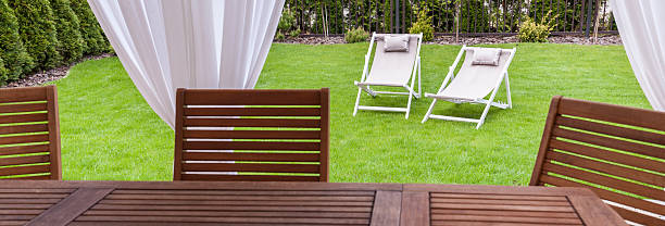 istock Green and sunny garden 496481738